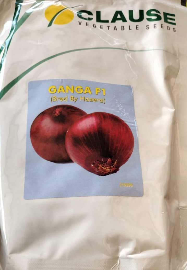 Clause Ganga Onion-400gm