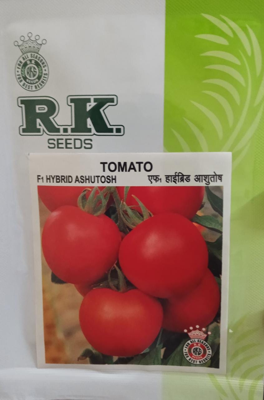 RK Ashutosh Tomato-10gm