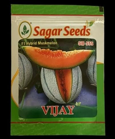 Sagar Vijay Muskmelon -25gm 