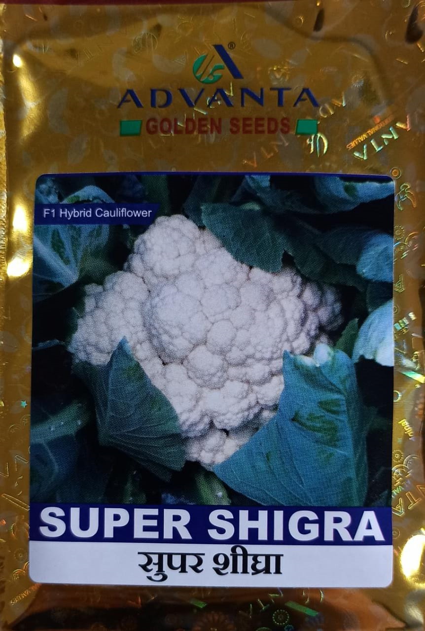  Super Sighra- 2000seeds