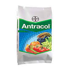 Antracol- 250gm