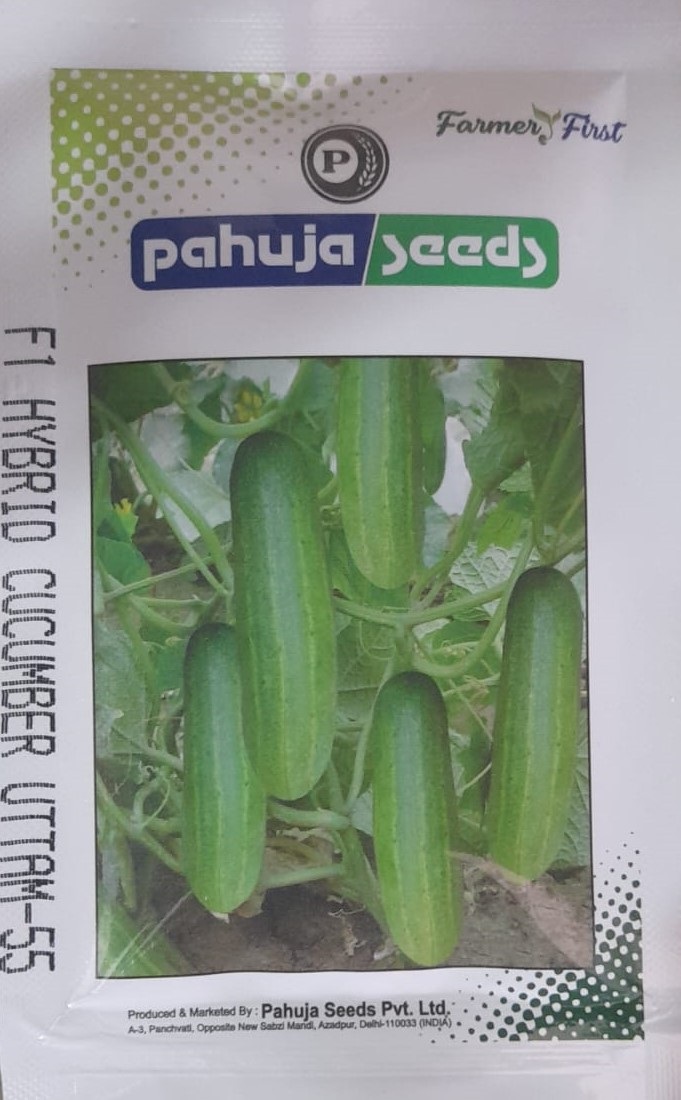 Cucumber Uttam - 55 - 25gm