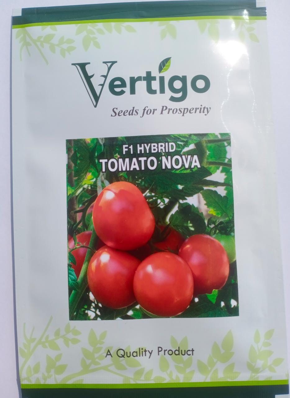 Vertigo Nova Tomato-3000seed