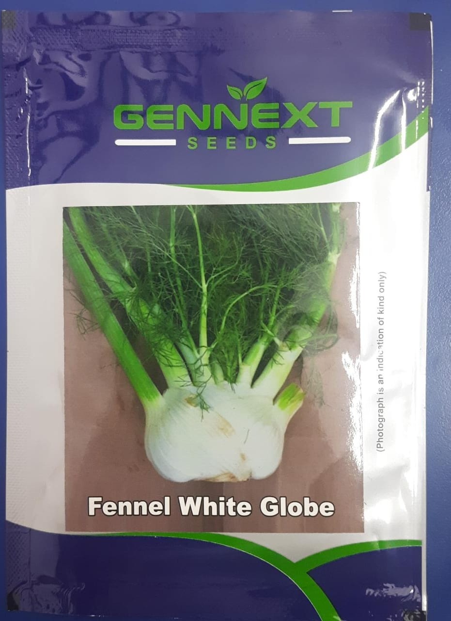 Gennext Fennel White Glode -10gm